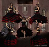 Bailar&iacute;n del flamenco