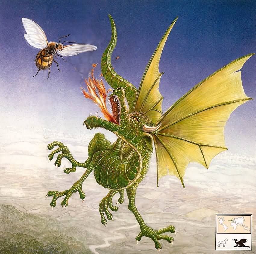 GraemeBGraemebaseEmeralddragonImmat.jpg