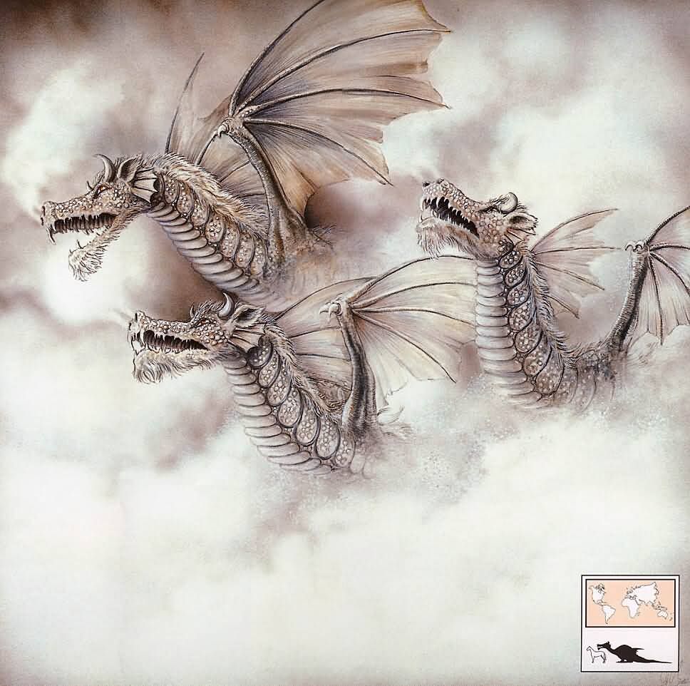 GraemeBGraemebaseGreatsnowdragon.jpg