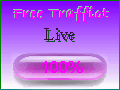 Free Traffict 100% 