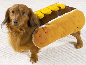 [Image: dogdressedasahotdog.gif]