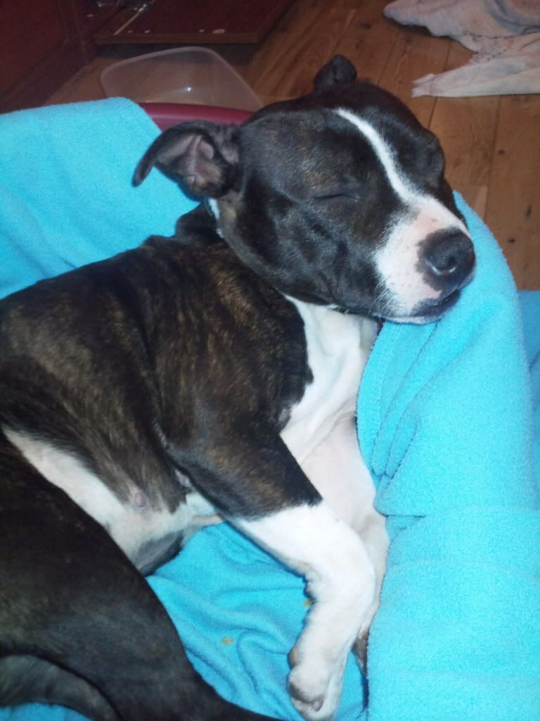 Photo0107.jpg