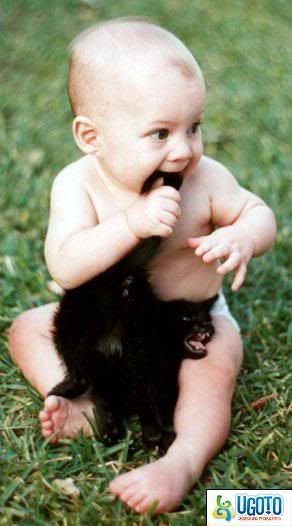 http://i803.photobucket.com/albums/yy317/mlmvicbc/why-cats-hate-kids-426.jpg