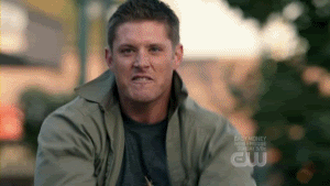 Eye of the Tiger! Pictures, Images and Photos