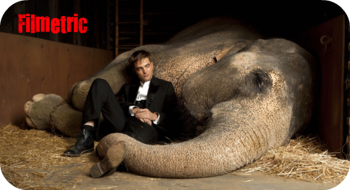 undefined Water for elephants