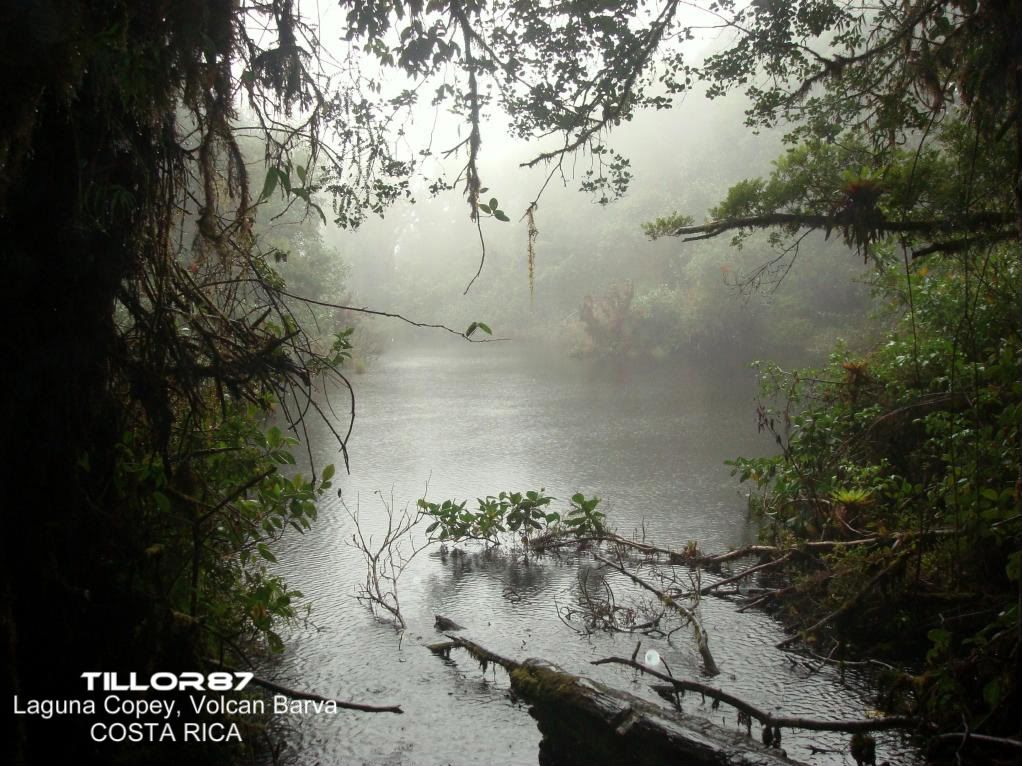 Laguna Copey