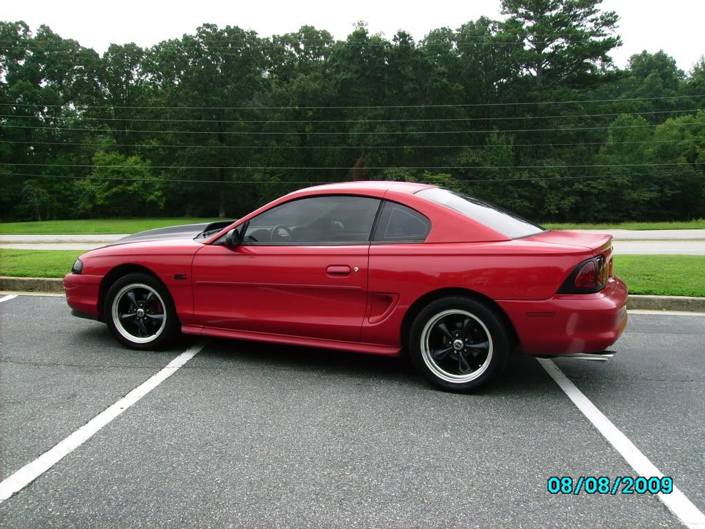 wingless2001.jpg