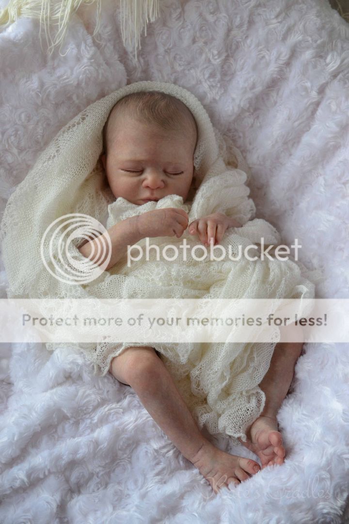 Katescradles " Leah " by Sandra White Reborn Baby Girl Gorgeous Newborn