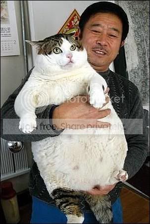 securedownload2.jpg